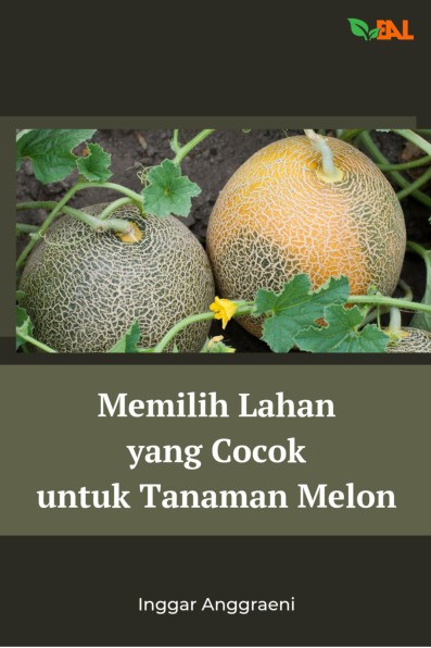 Memilih Lahan yang Cocok untuk Tanaman Melon